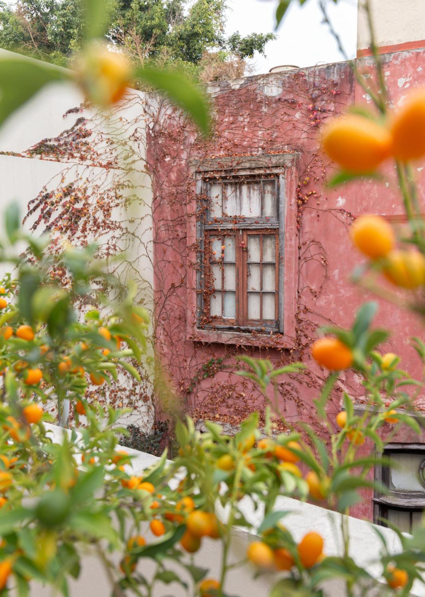 מלון בואנוס איירס Casa Chic Palermo Soho מראה חיצוני תמונה